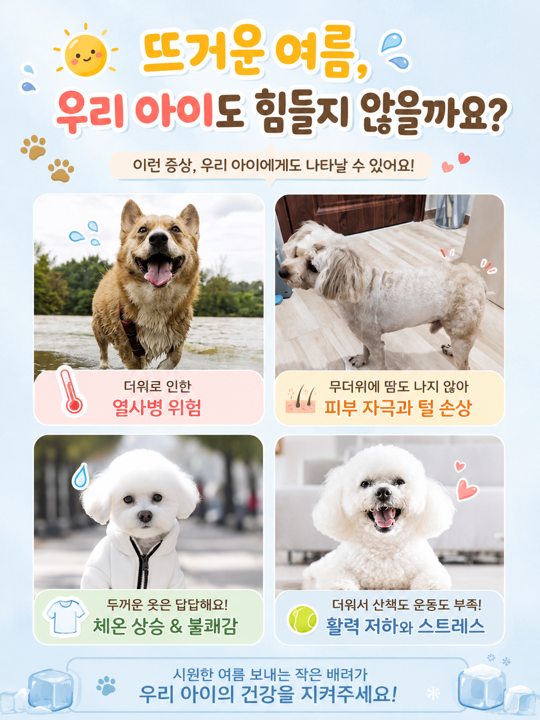 아이스팩하네스1.png