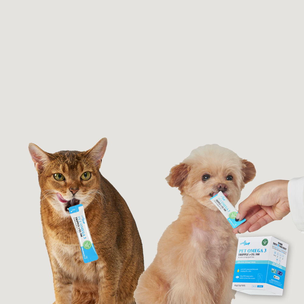 웰찹 저알러지 식물성 강아지 고양이 오메가3 r-TG 500 눈 관절 피부 영양제