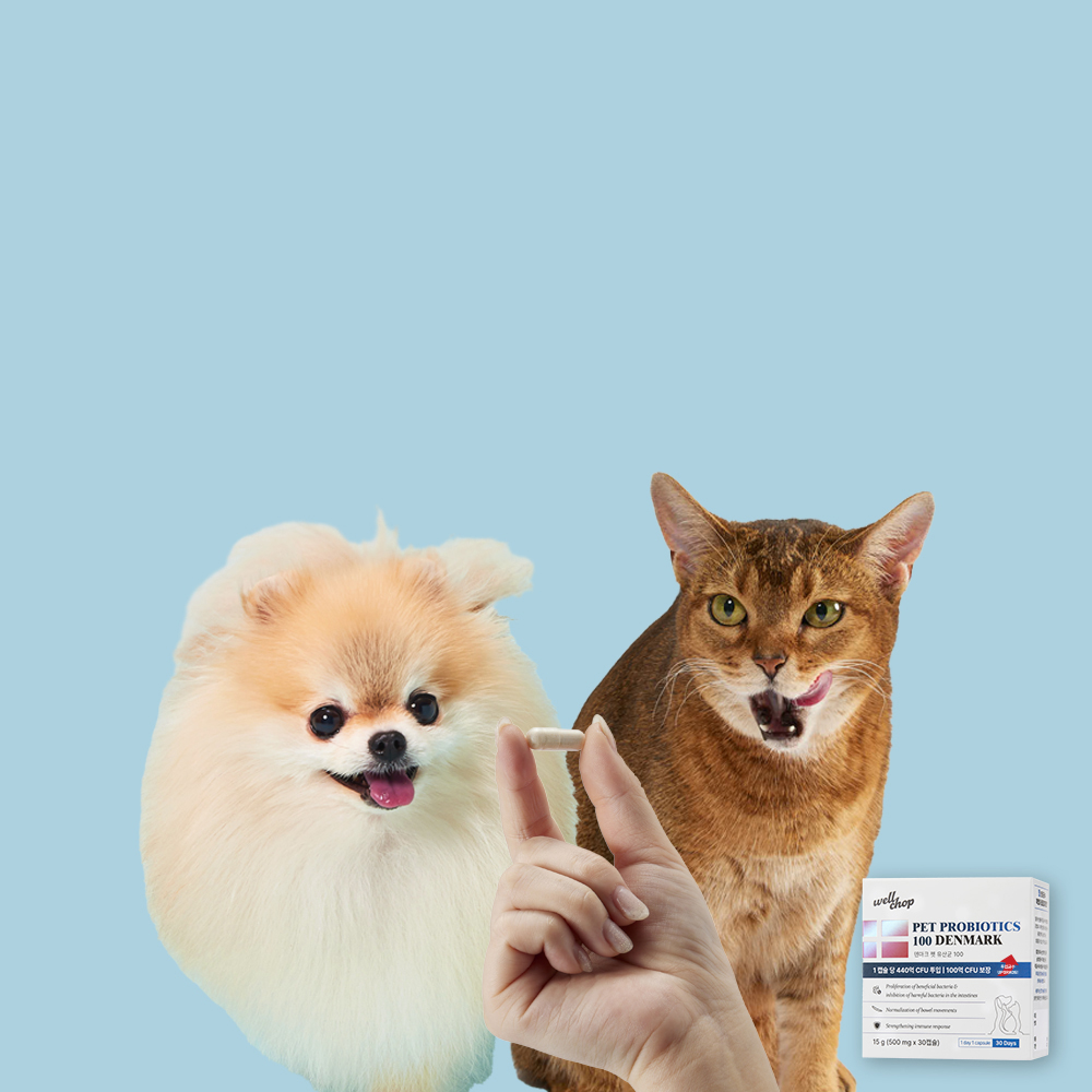 웰찹 덴마크 강아지 고양이 펫 유산균