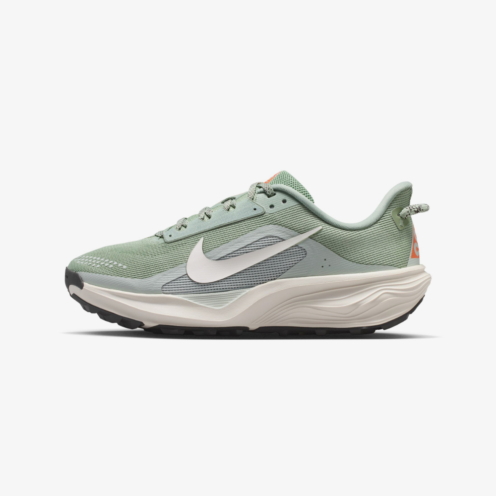NIKE acg 페가수스 트레일