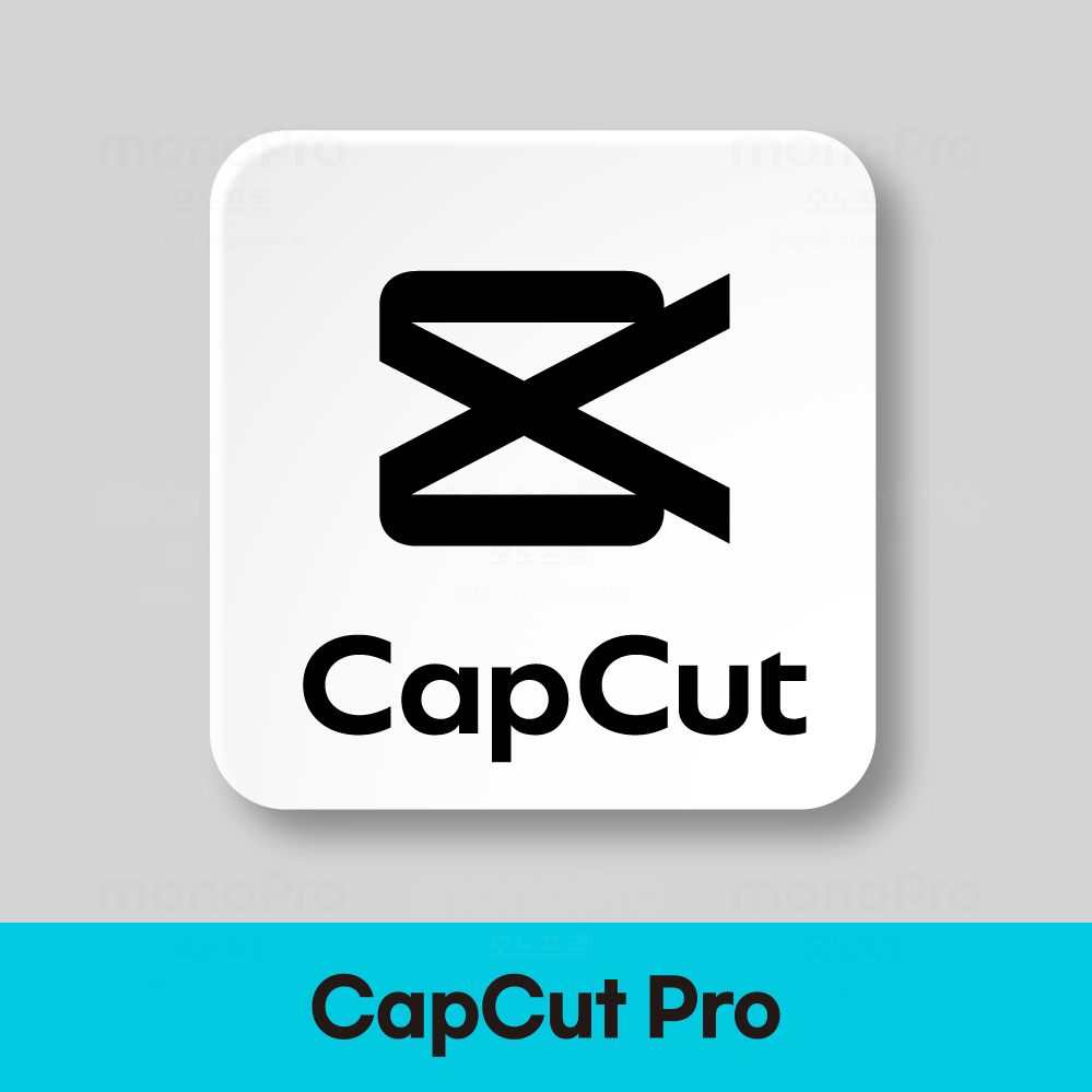capcut pro[라이선스]