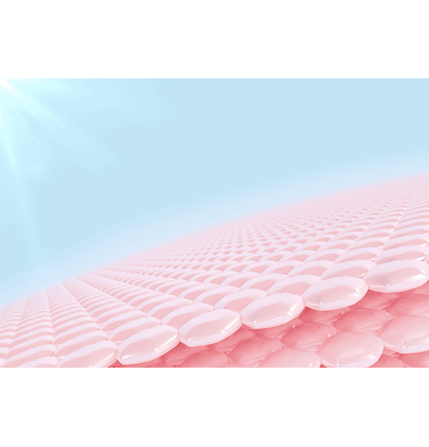 GIF_자외선차단_low.gif