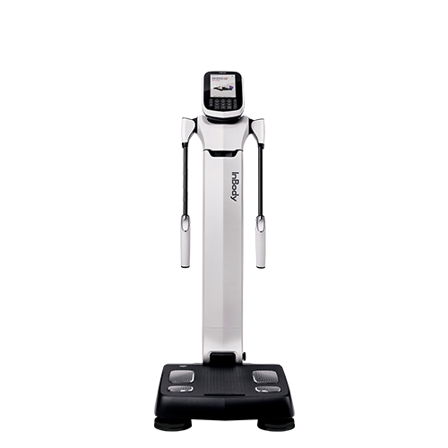 InBody380 결과지