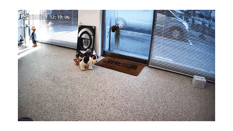 020-2.gif
