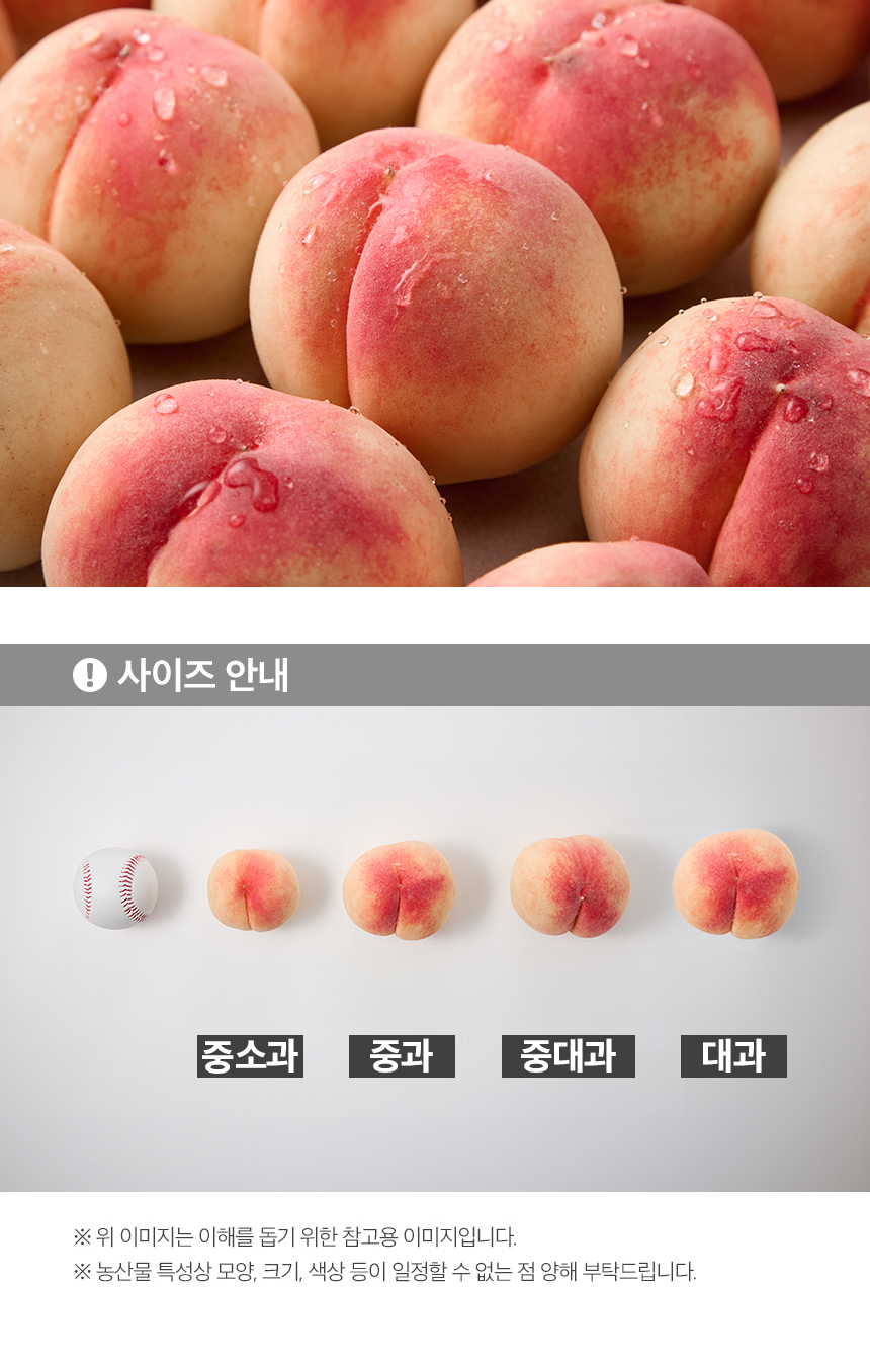 006_food100_xqvV4a5m.jpg