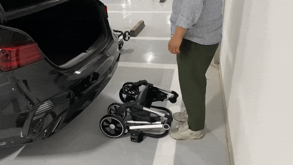 gif11.GIF