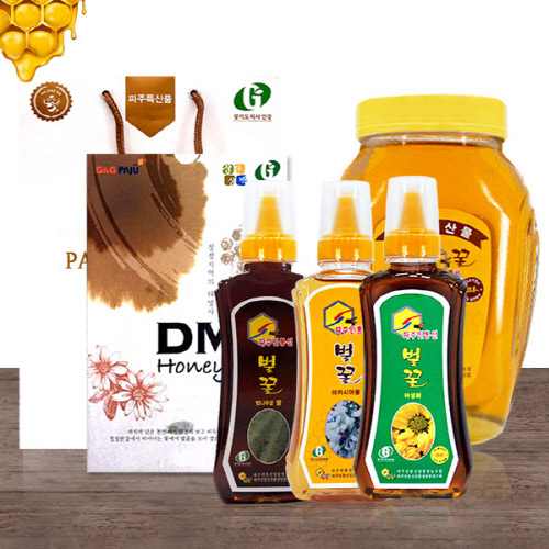 [파주민통선] 자연산100% DMZ 벌꿀 선물세트 모음 (아카시아 꿀/야생화 꿀/밤나무꽃 꿀)