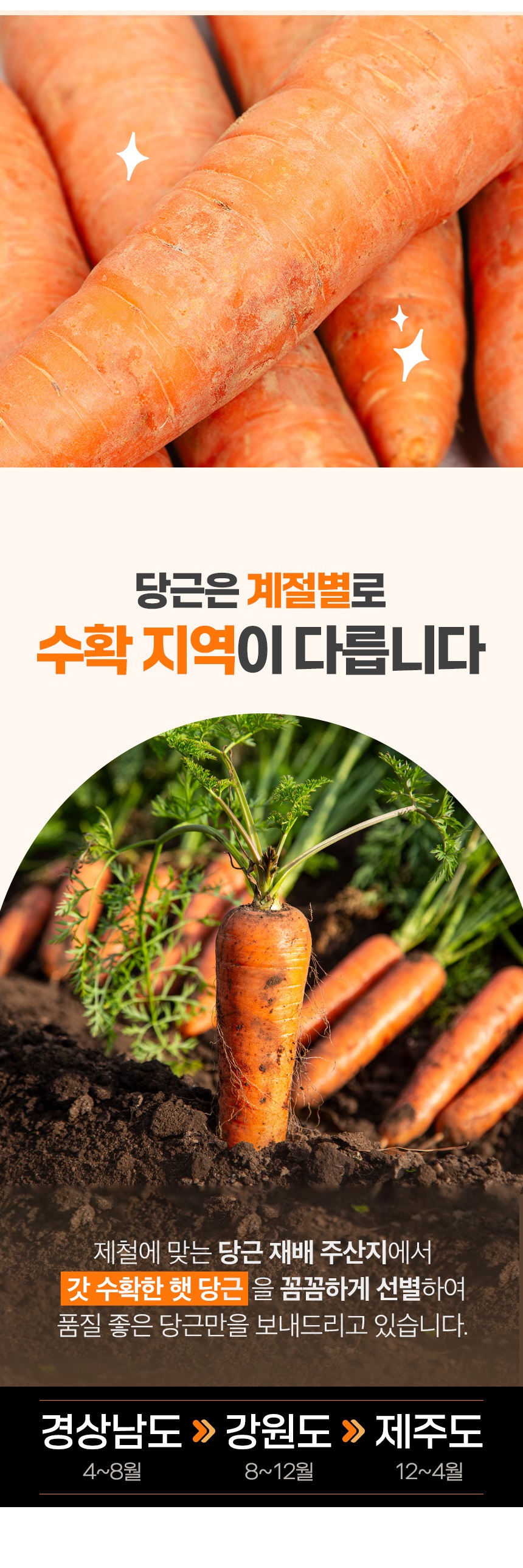 carrot_00_banner.jpg