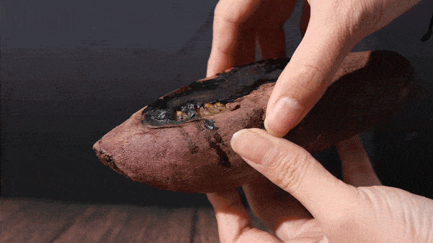 10.gif