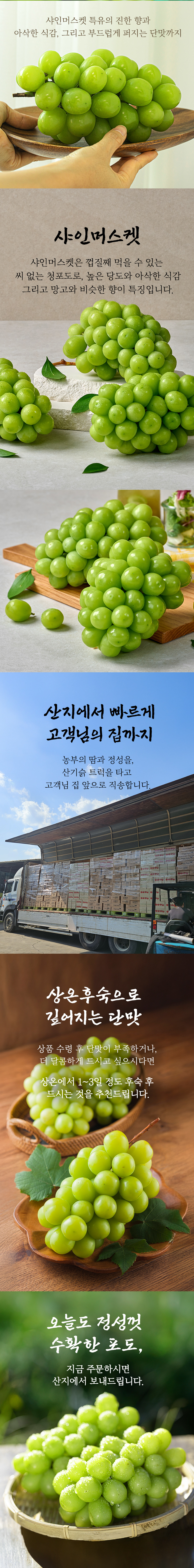 샤인머스캣_03.jpg
