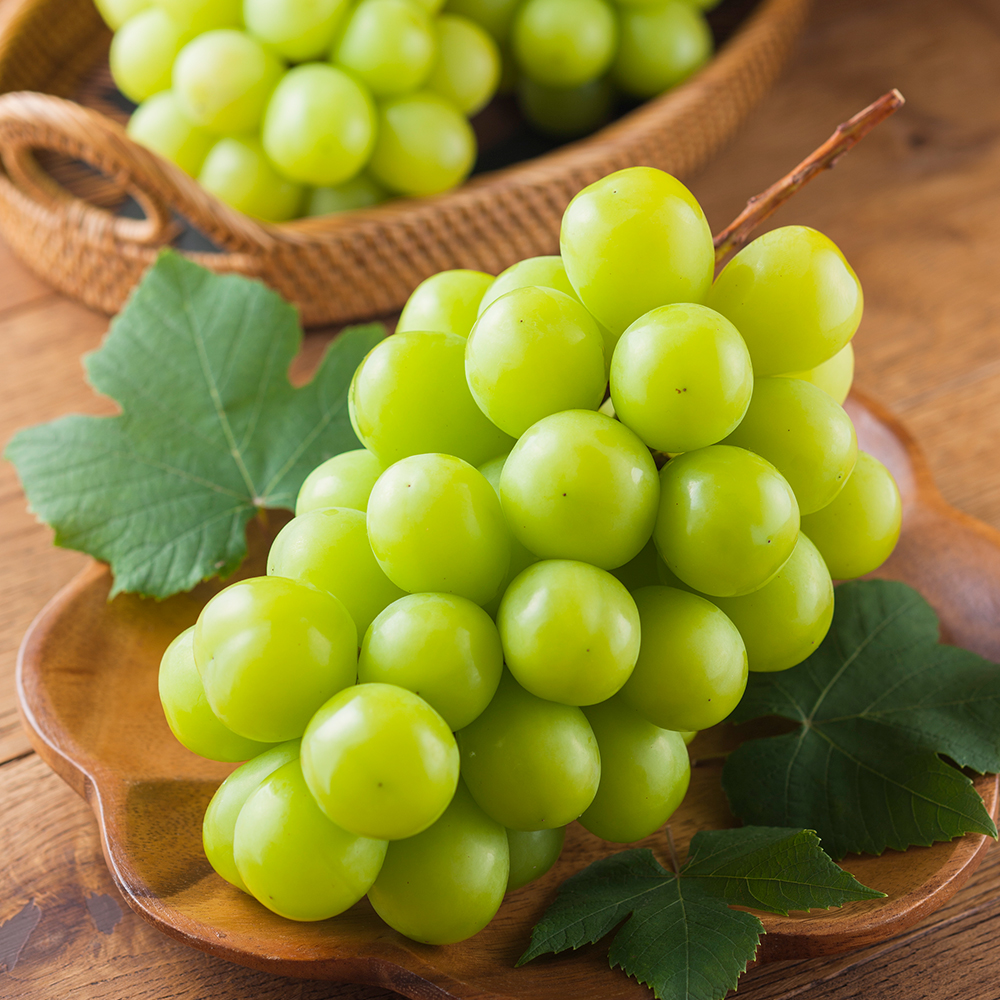 [호감] 껍질째 먹는 달콤한 가정용 샤인머스켓(2kg/5수) 외 2종