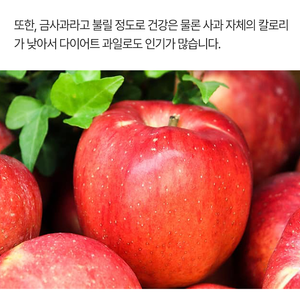 홍로-사과_06.jpg