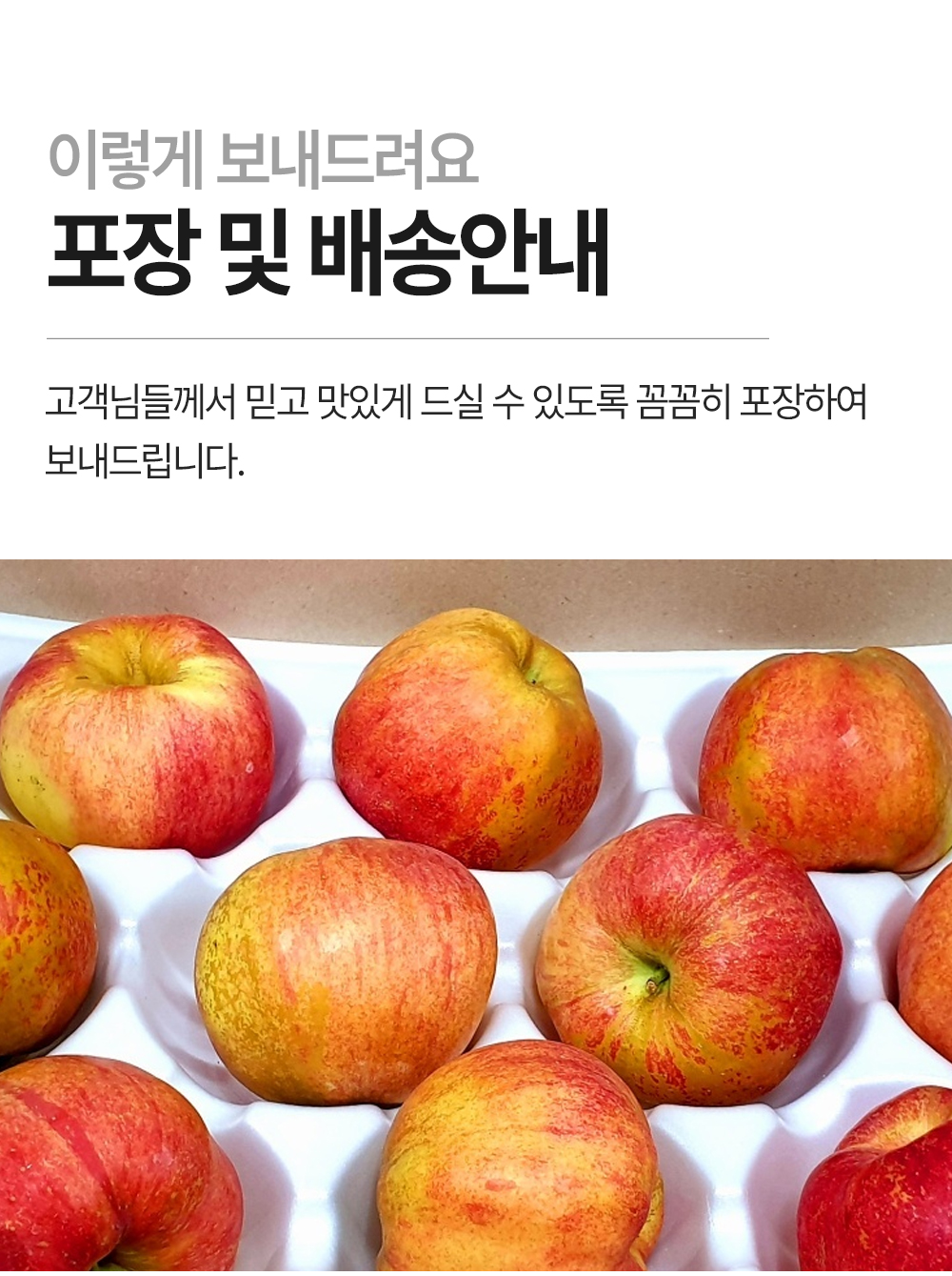 홍로-사과_10.jpg