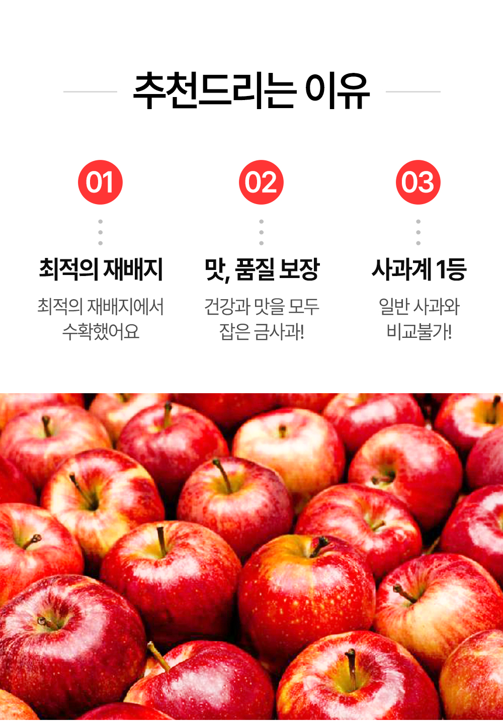 홍로-사과_03.jpg
