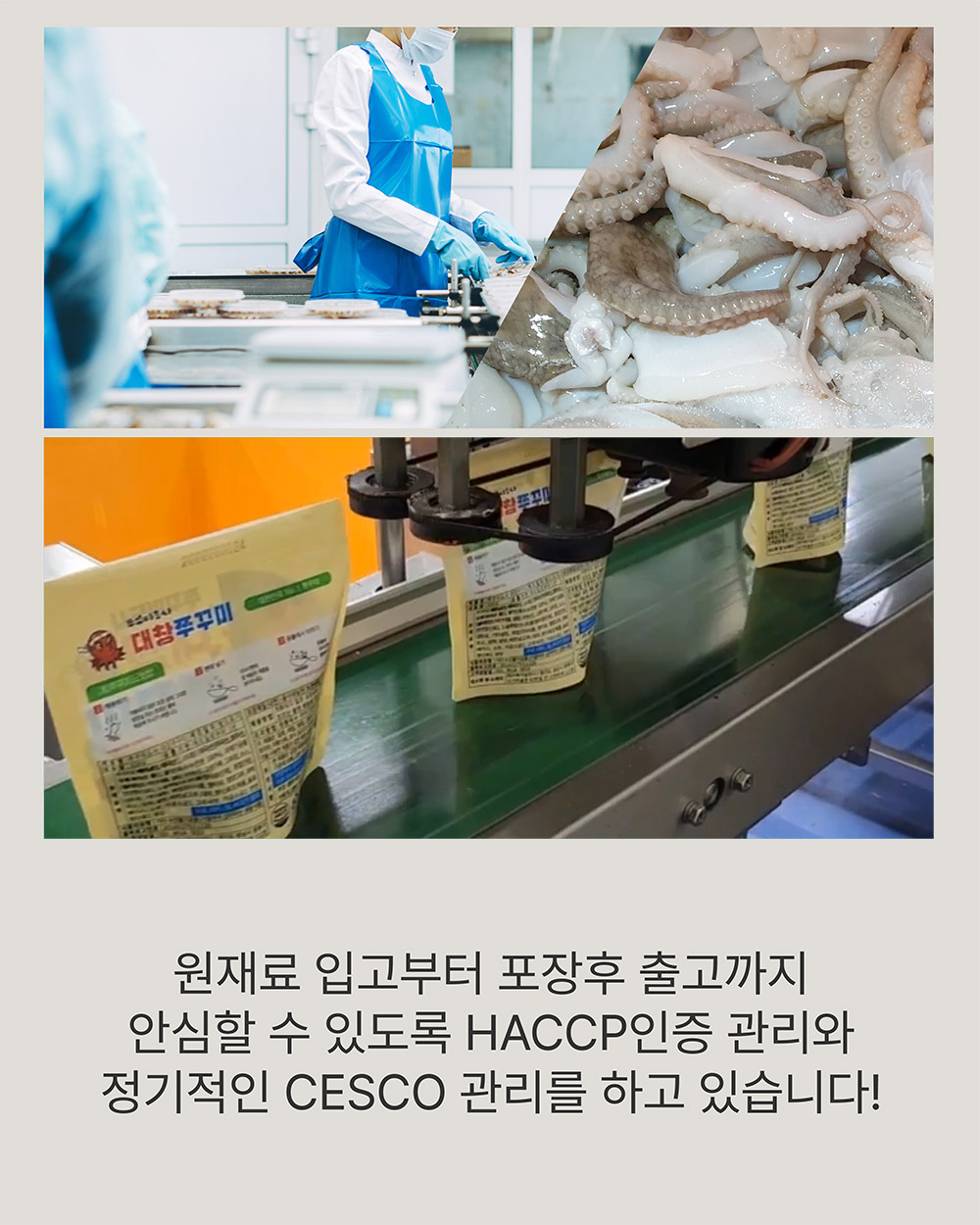 대창쭈꾸미상세5-1.jpg