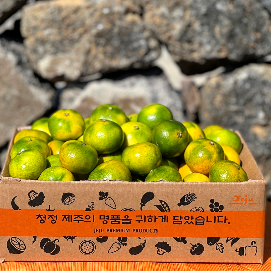 [특가] 제주 하우스감귤 중대과 가정용 1.5kg (10-20과)
