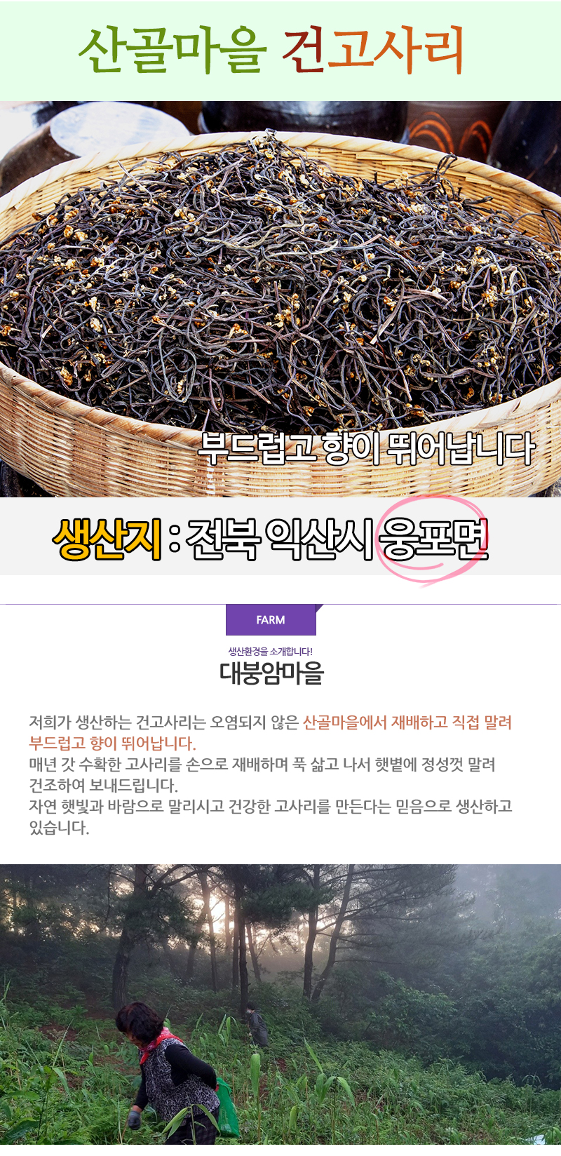 yungosari