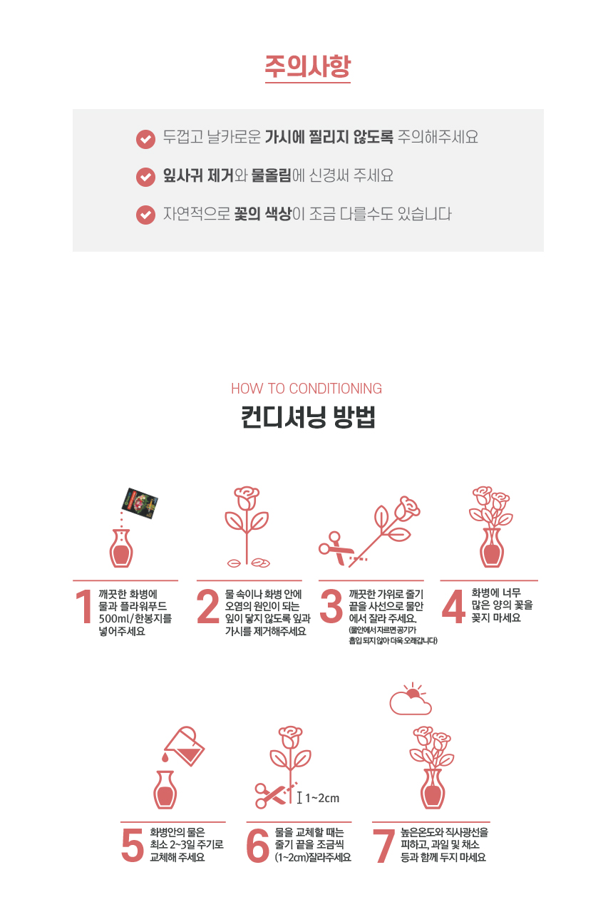 로즈피아-나르샤_13.jpg