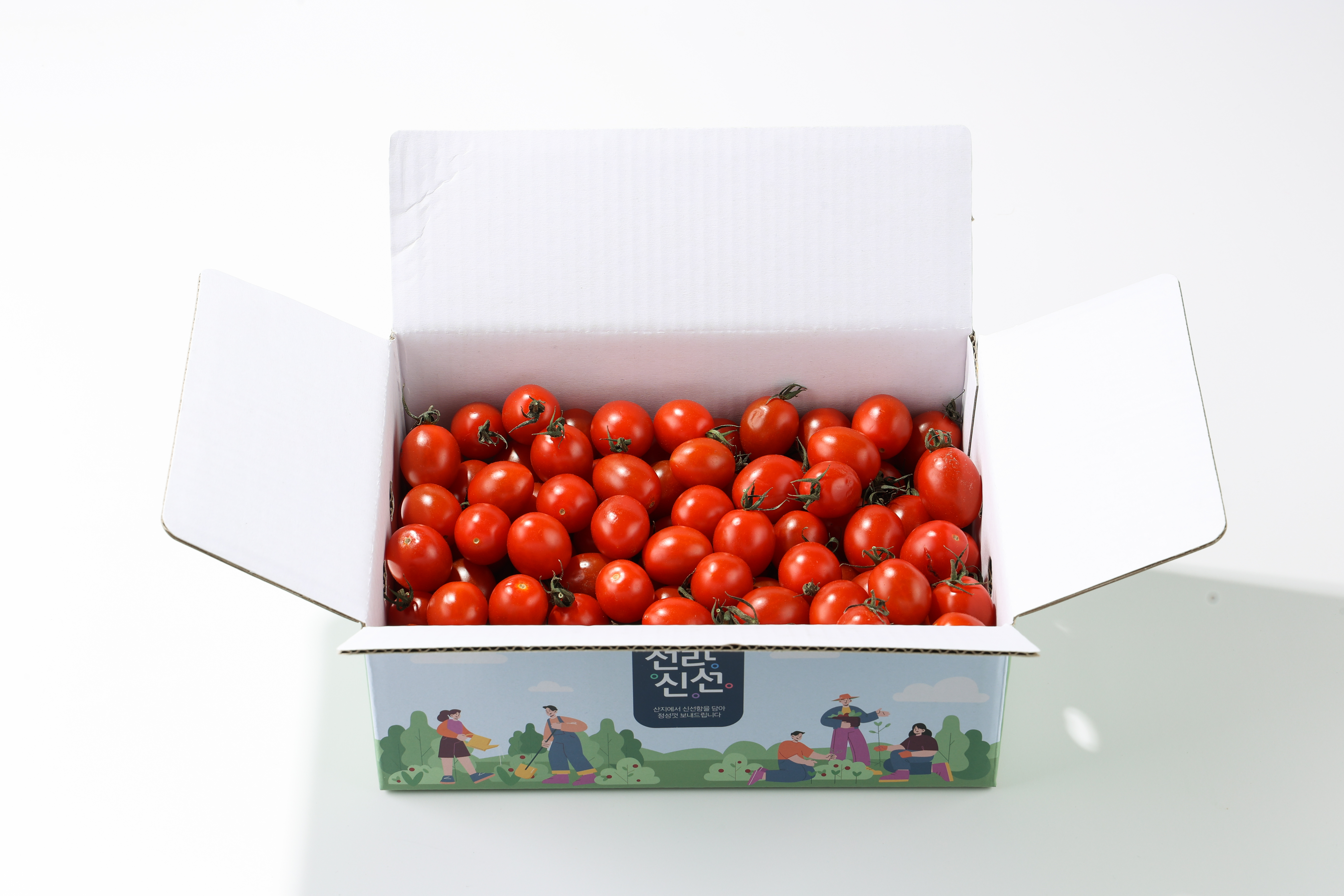 [윤율] 신선한 탱글탱글 대추방울토마토 2kg