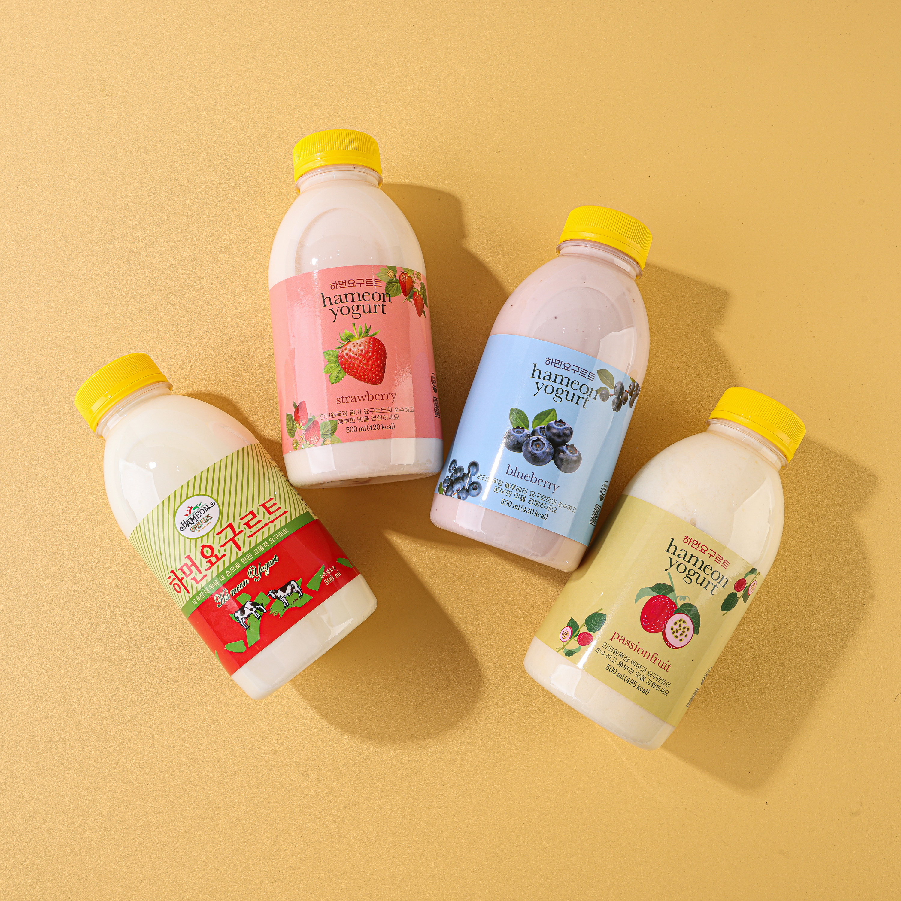 [안터원 목장] 하먼 요거트 500ml (플레인, 블루베리, 딸기)