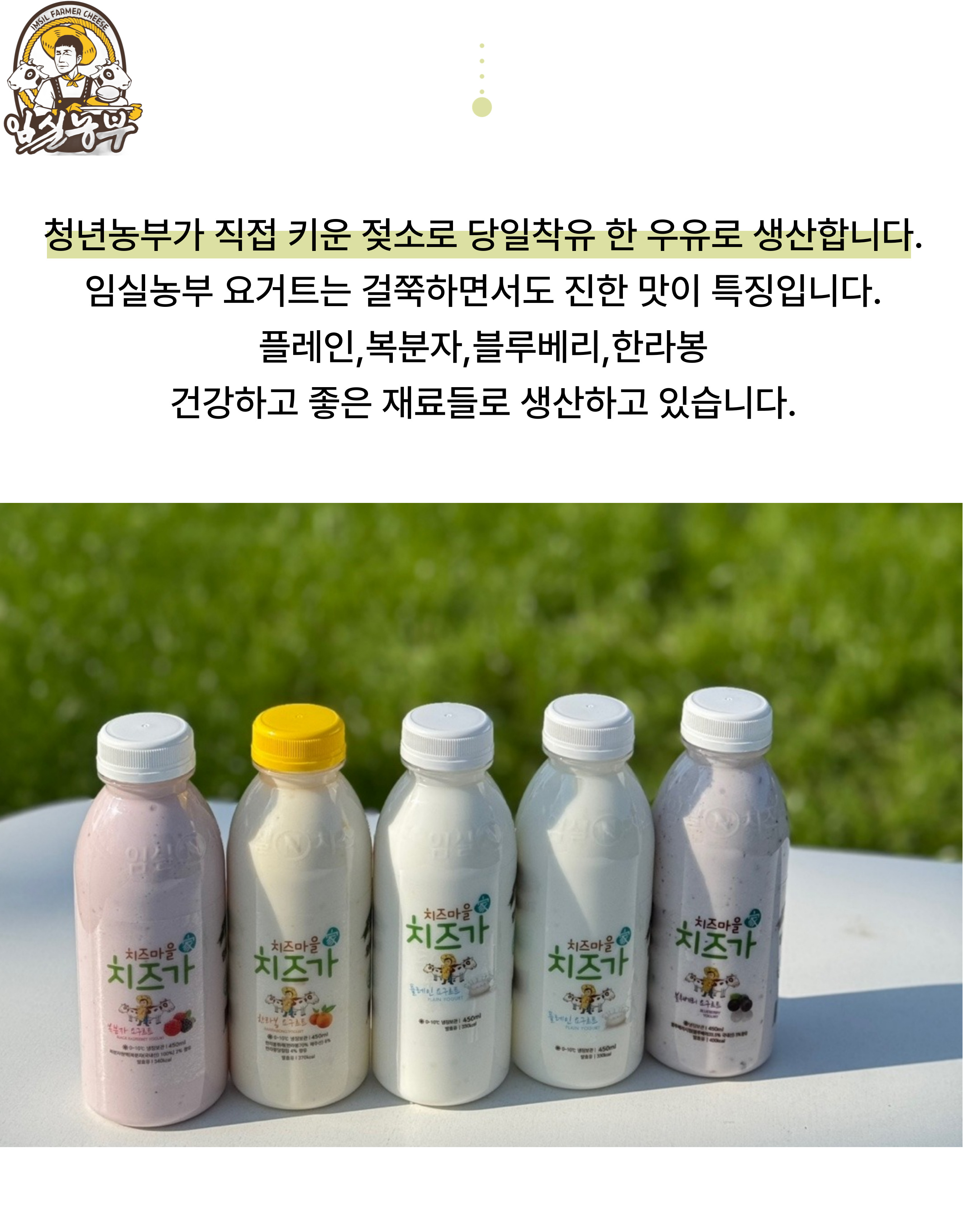 요거트.jpg