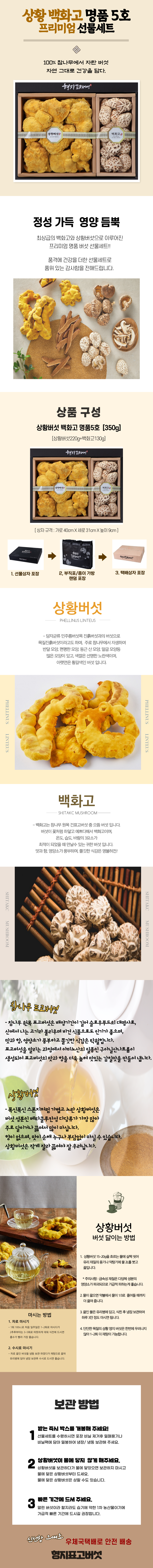 2종명품5호.png