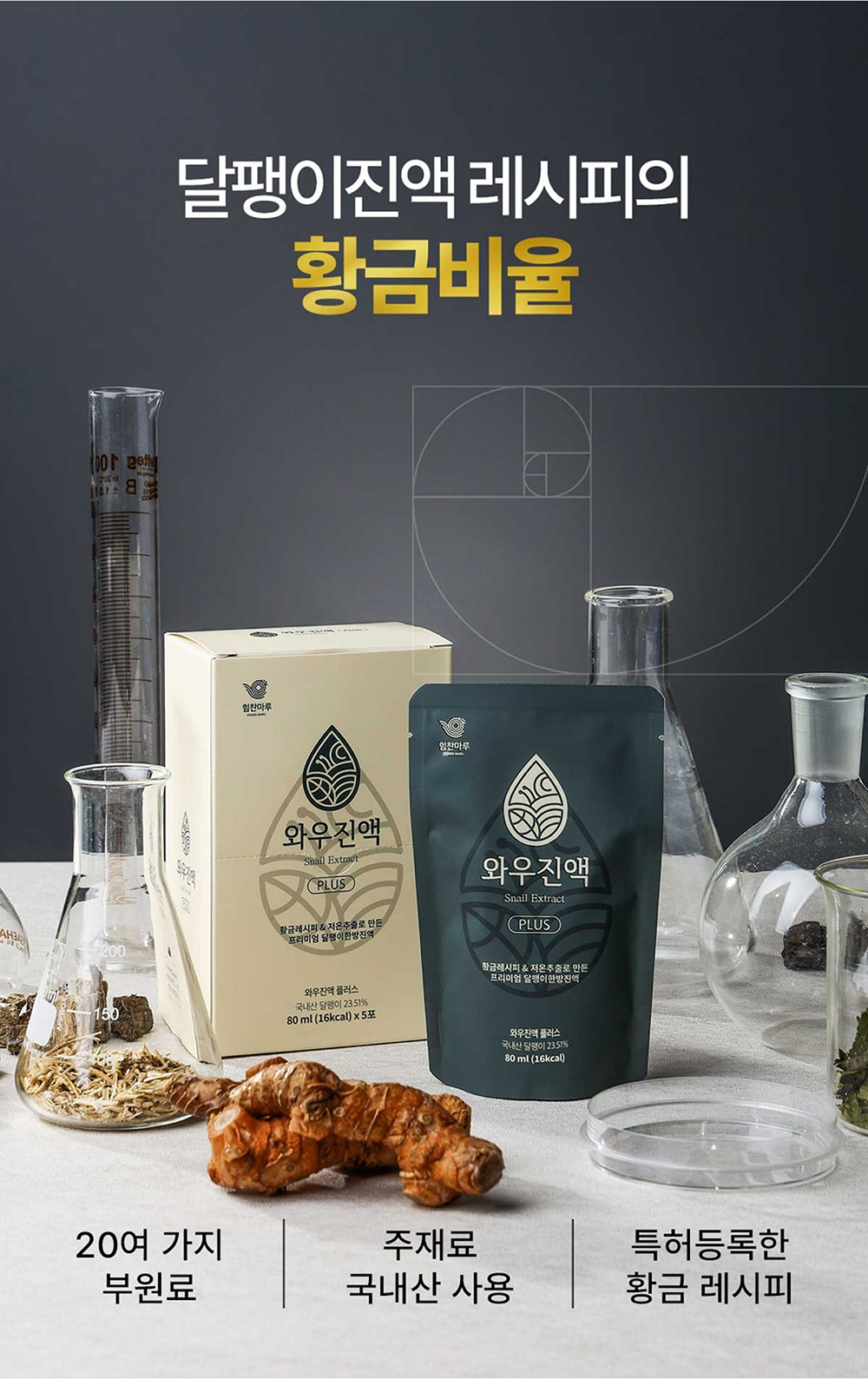 23_황금비율.jpg