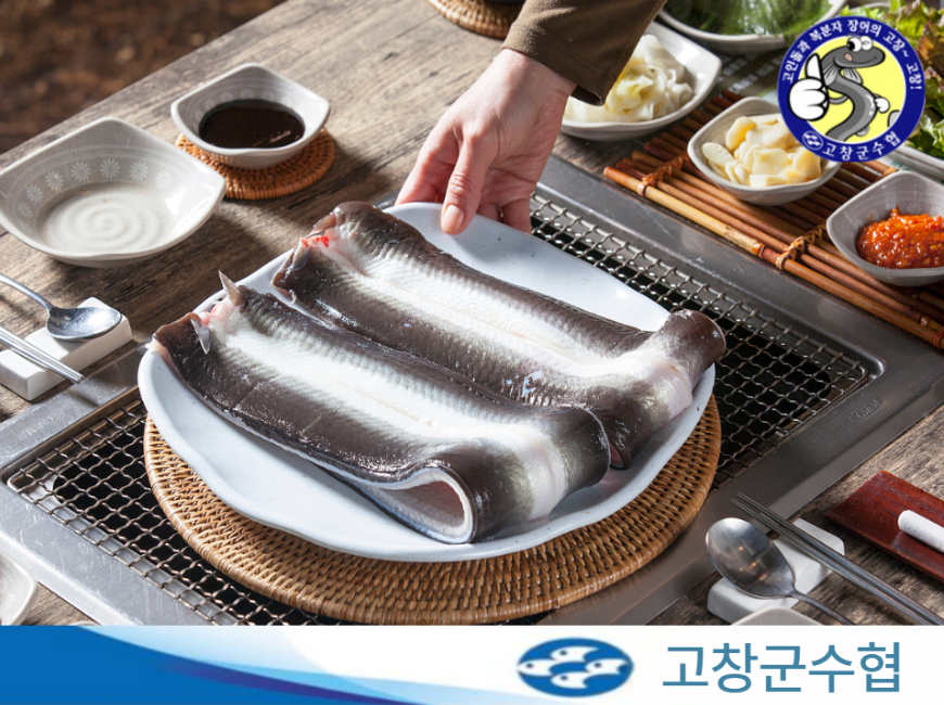 [해가람][고창군수협] 손질장어 1kg 2~3미 (손질 후 실중량 700g)