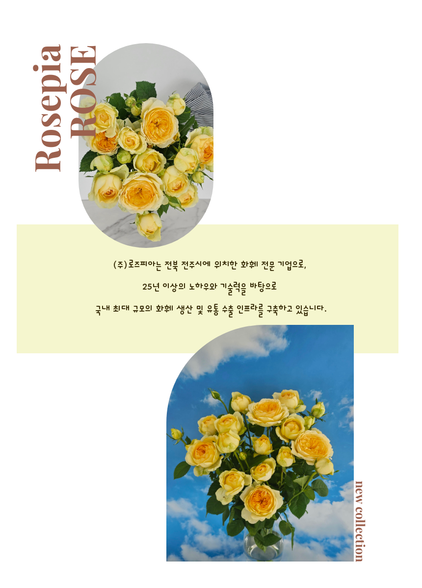SAV_250530094213_4.png