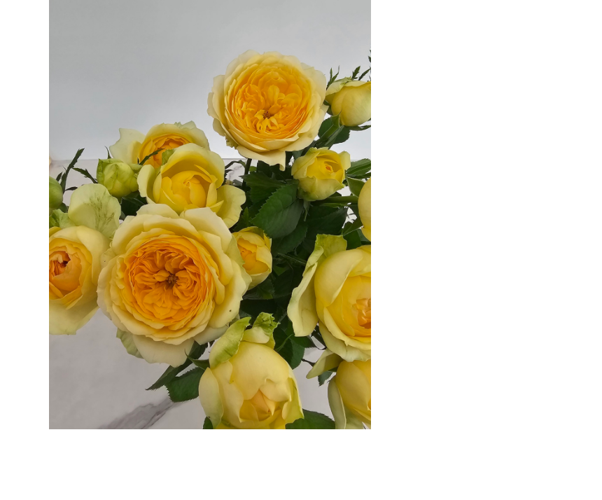 SAV_250530094213_5.png