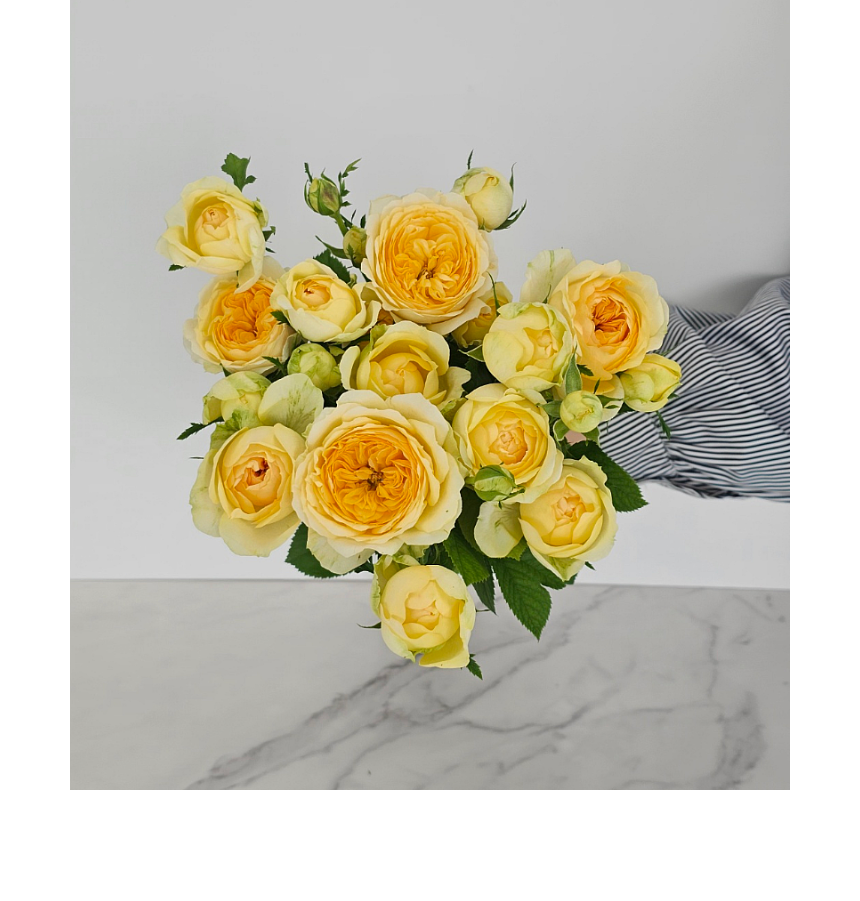 SAV_250530094213_6.png