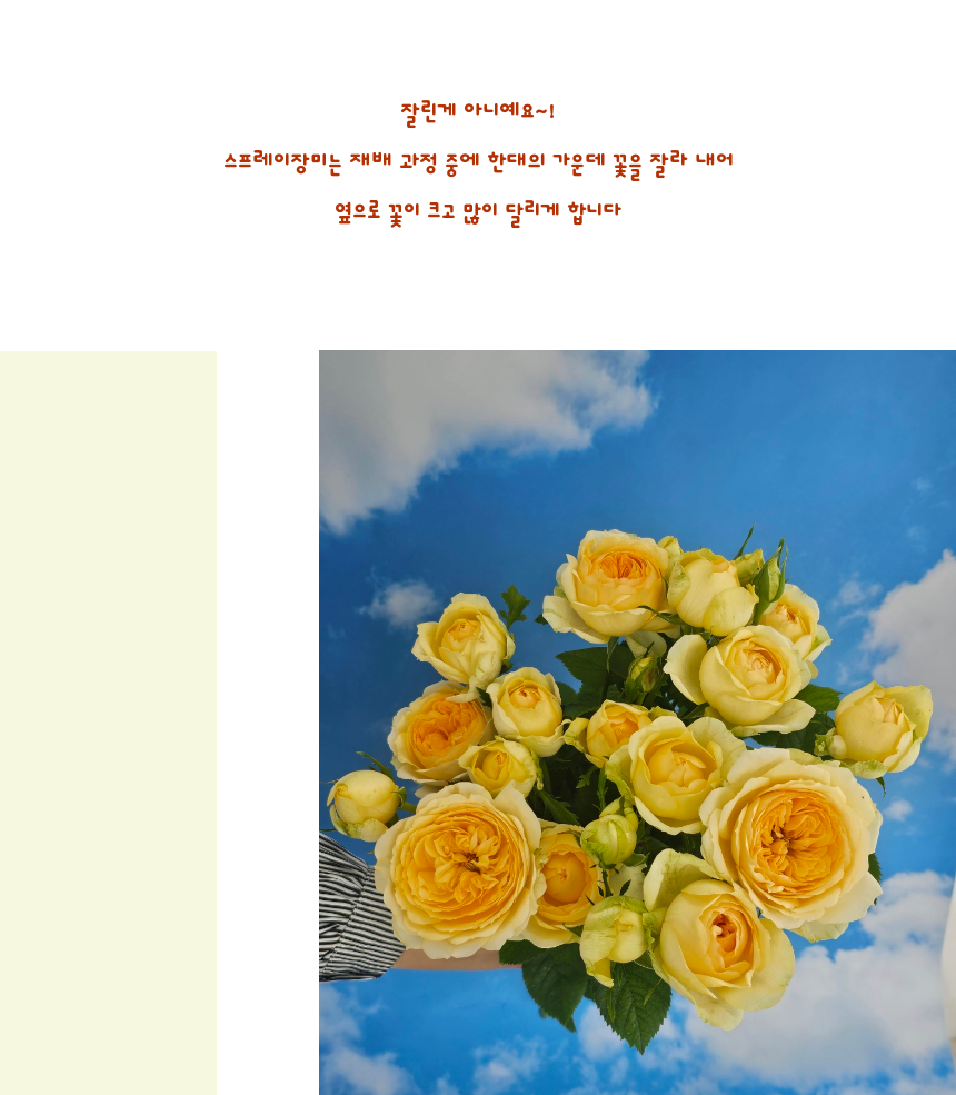 SAV_250530094213_8.png