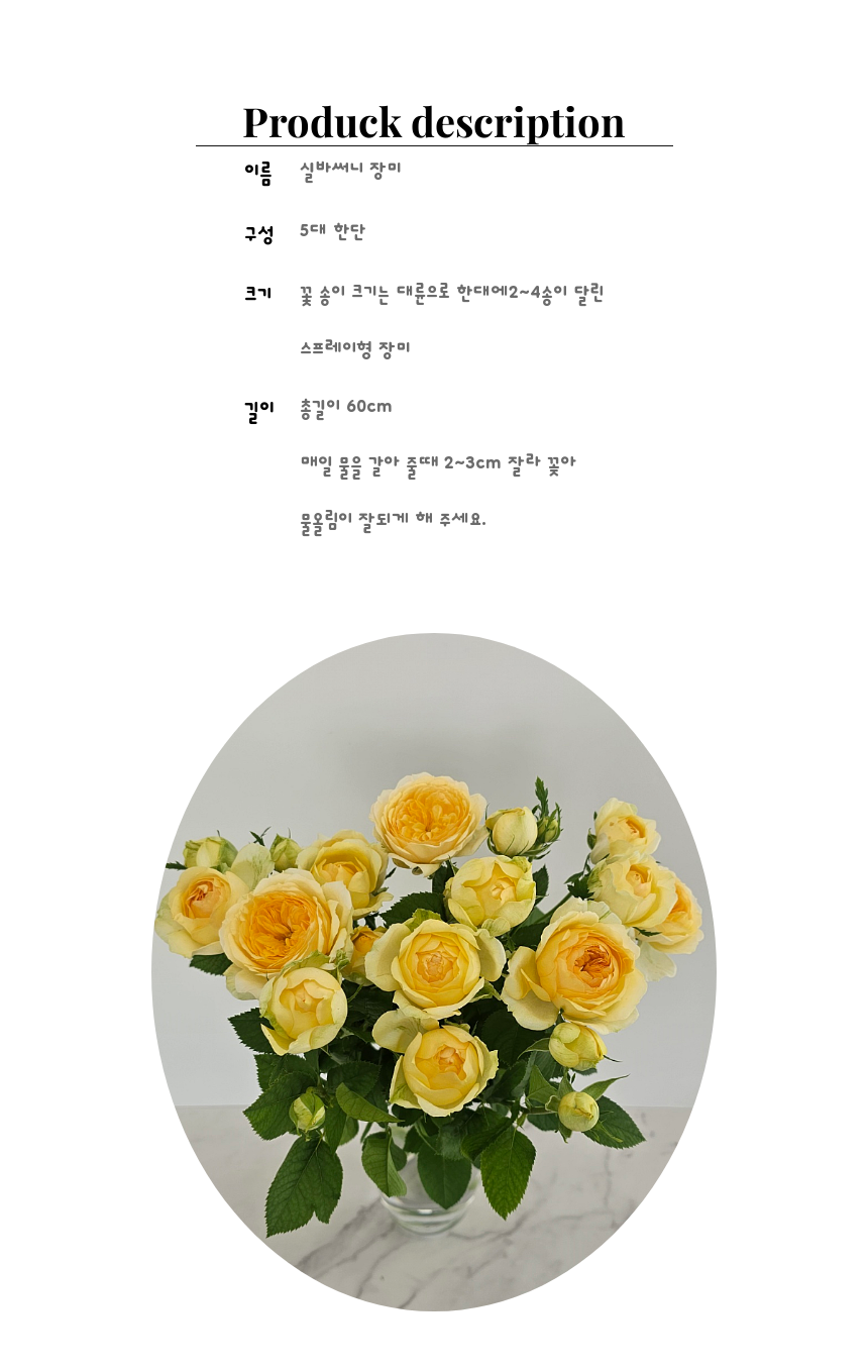 SAV_250530094213_9.png