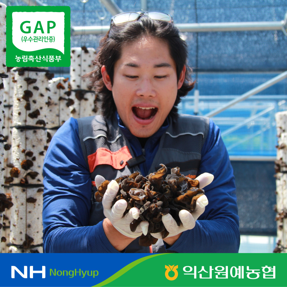 [익산원예농협] 청년농업인 차정환 무농약 생 목이버섯 농업 인플루언서
