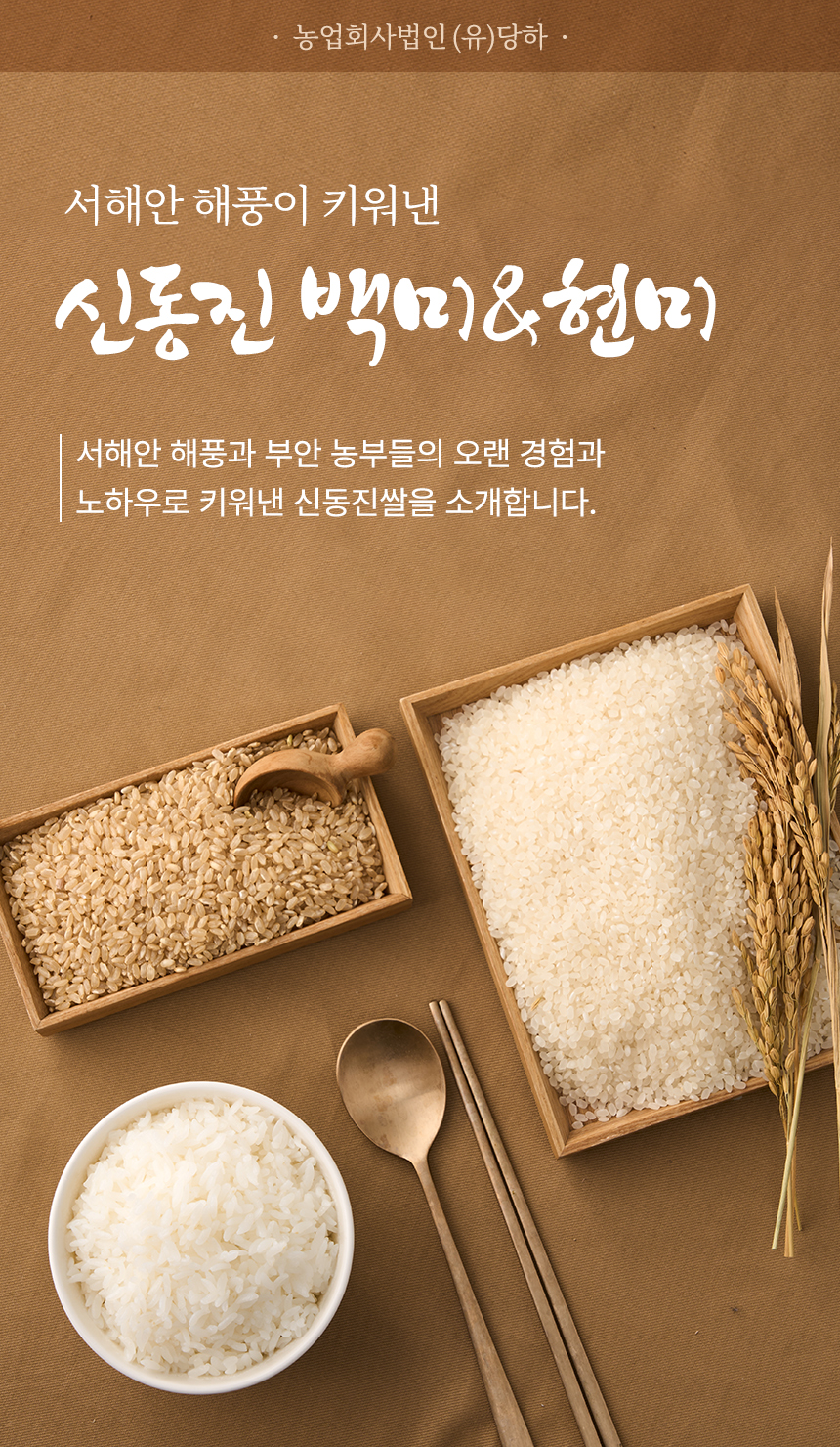 241126_당하_신동진쌀_현미백미_01.jpg
