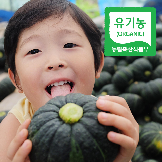 [유기농] 미니단호박 밤호박 3kg, 5kg, 10kg / 장수 친환경 농산물 / 좋아서 하는 농사