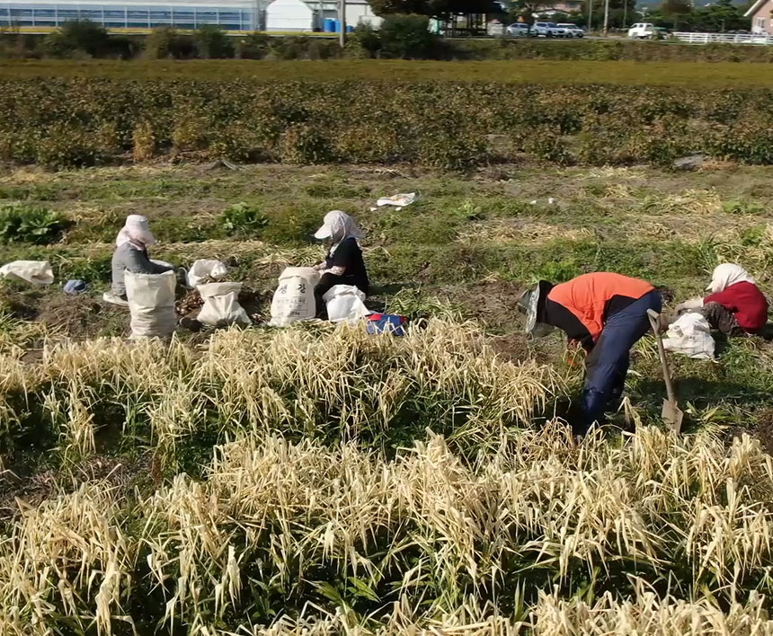 봉동생강마을_충무공제로생강청_-상세_07.jpg