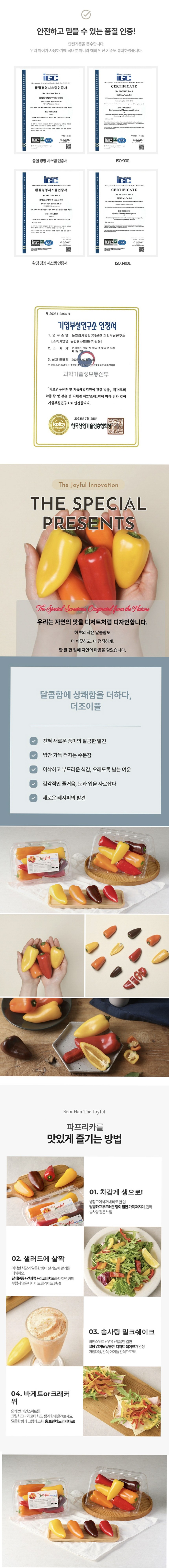 04.jpg