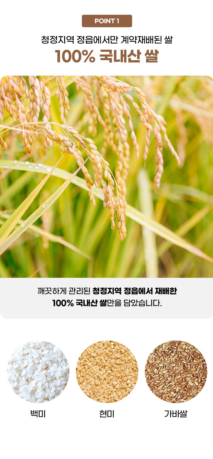 afd501a1-f76e-4666-97ce-b1831972a337.jpg