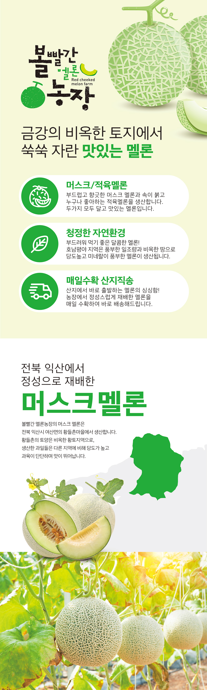 youngja-netmellon-1.jpg