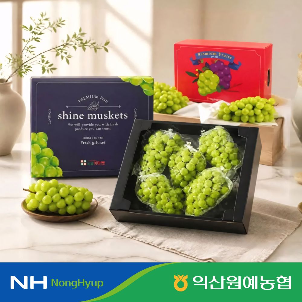 [익산원예농협] 샤인머스켓 프리미엄 명절 선물 세트 특 2kg 4kg 내외