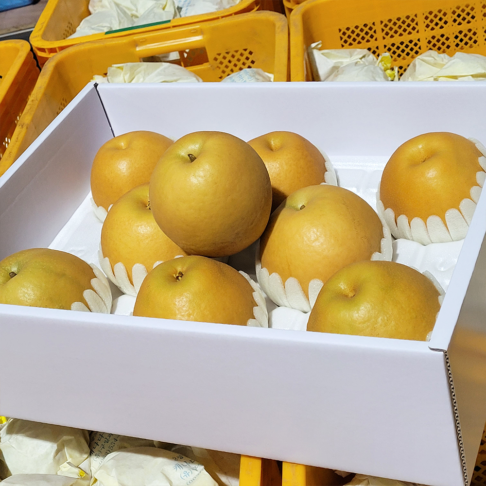 [프리미어농짱] 아삭달콤 당도 높은 추황배 3kg 5kg