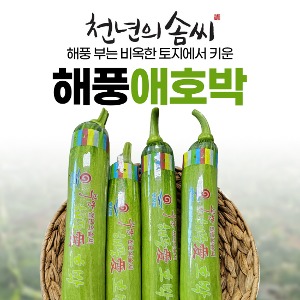 [부안천년의솜씨] 부안 해풍애호박 3kg