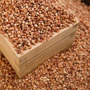 [디자인농부] 2025년산 찰수수 500g+500g