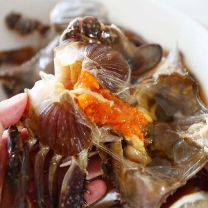[귀빈정] 26년전통맛집 명품 알배기 암꽃게 간장게장3.1kg (5미)