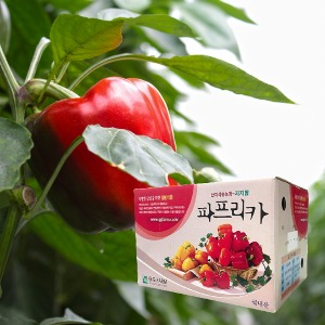 [지우] 지지팜 파프리카 산지직송 프리미엄 2kg 5kg 빨강노랑