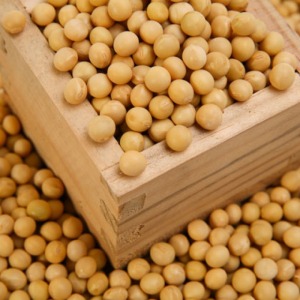 [디자인농부] 2025년산 백태콩 500g+500g