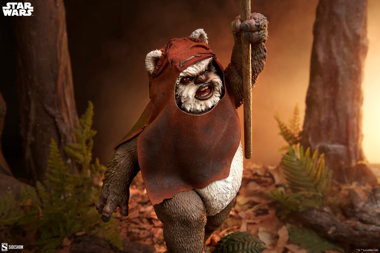 imgi_28_sideshow-collectibles-star-wars-wicket-premium-format-figure-gallery-68801513a0240.jpg