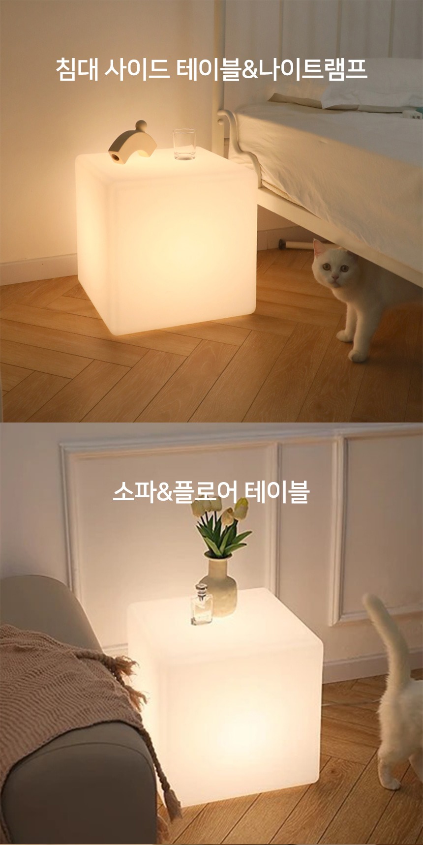imageye___-_imgi_55_16.jpg