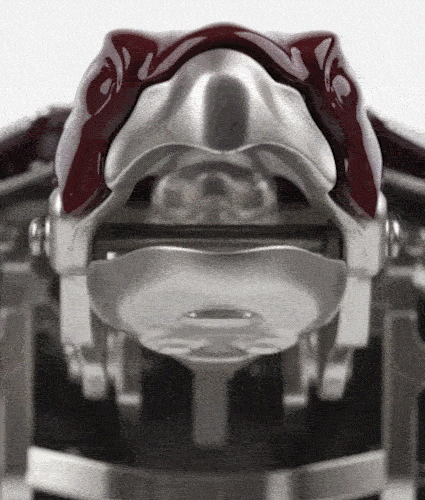 5.gif